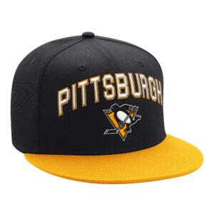 Men's Starter Black/Gold Pittsburgh Penguins Arch Logo Two-Tone Snapback Hat