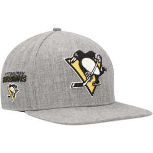 Men's Pro Standard Gray Pittsburgh Penguins Classic Logo Snapback Hat